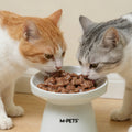 BLACK NOSE Chicken & Tuna Wet Cat Food