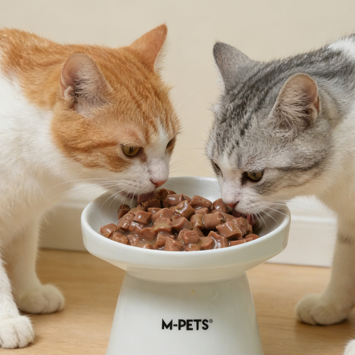 BLACK NOSE Chicken & Tuna Wet Cat Food