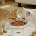 BLACK NOSE Chicken & Shrimp Wet Cat Food