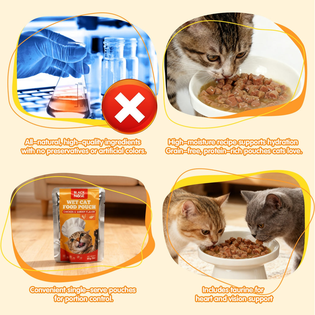 BLACK NOSE Chicken & Shrimp Wet Cat Food