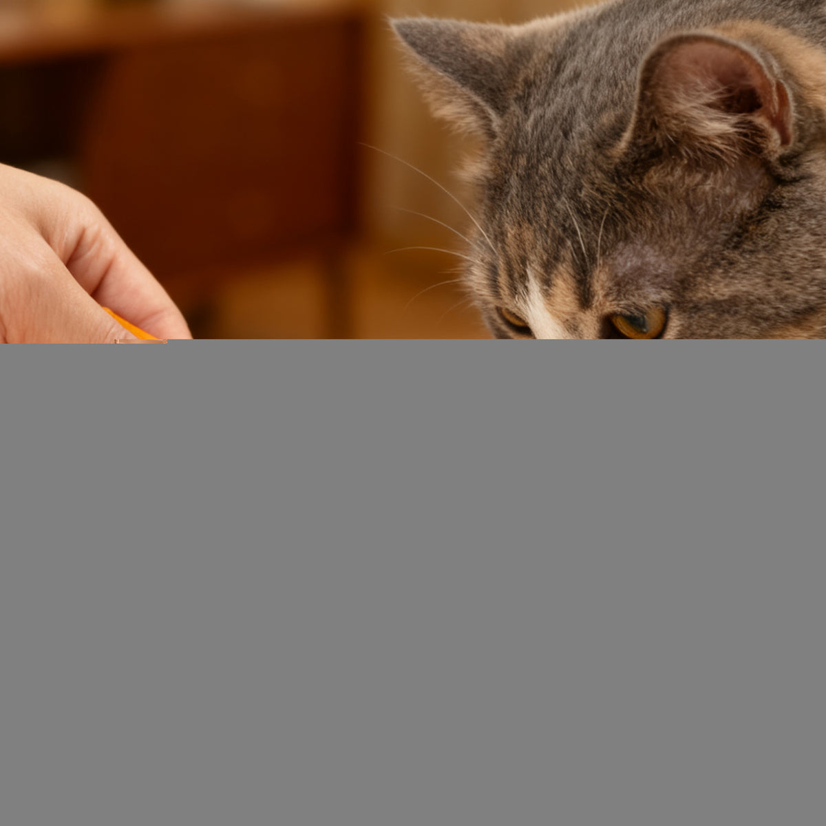 BLACK NOSE Chicken Lickable Cat Treats