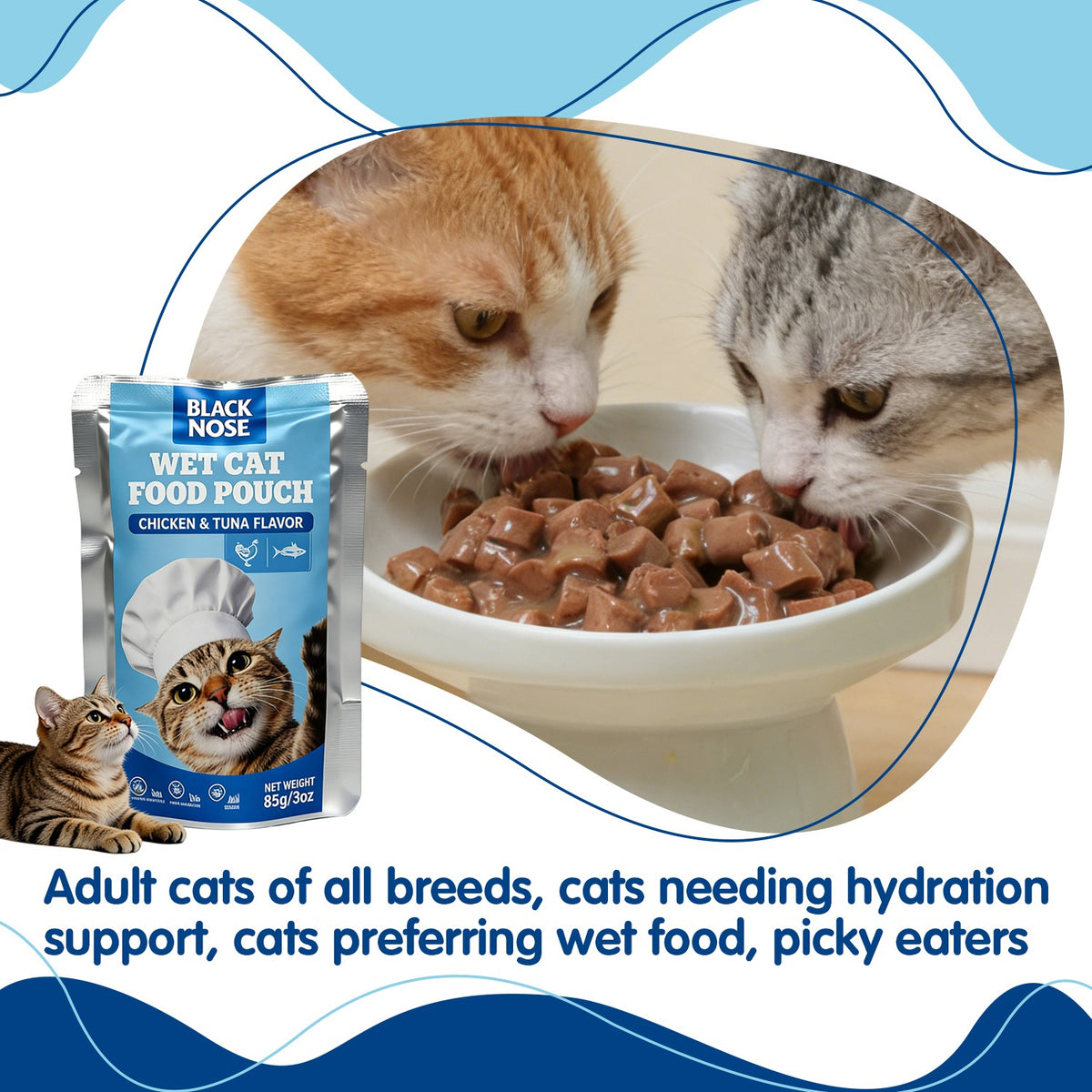 BLACK NOSE Chicken & Tuna Wet Cat Food